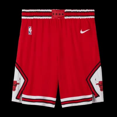 NIKE SHORTS X BULLS — Pants from 1688