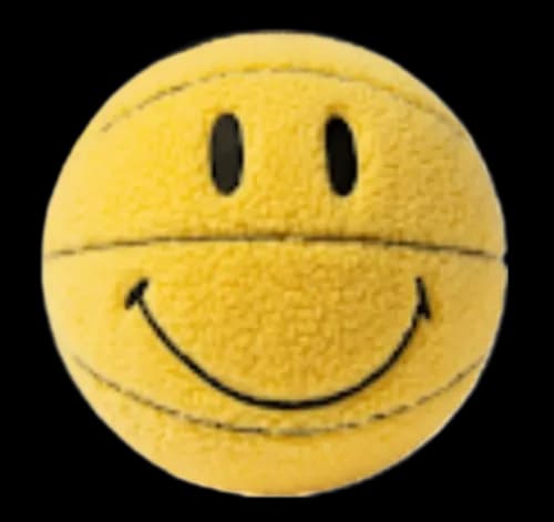 SHERPA BASKETBALL PLUSH — Accessories from Taobao, photo 2 of 2