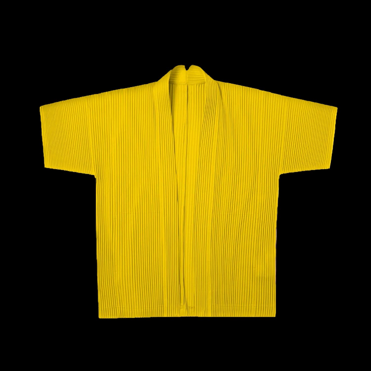 Issey Miyake Pleated Robe — T-Shirts from Taobao, photo 1 of 2